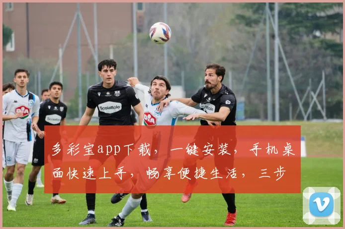多彩宝app下载，一键安装，手机桌面快速上手，畅享便捷生活，三步轻松搞定